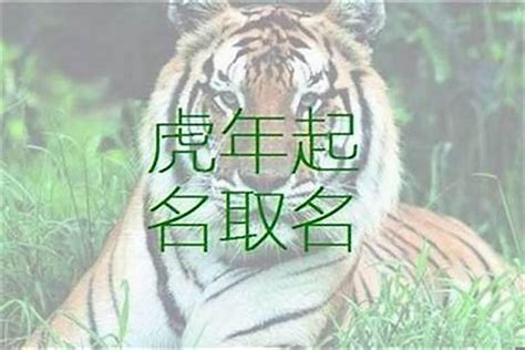 屬虎適合的名字|生肖虎取名宜忌：打造一生旺運好名字